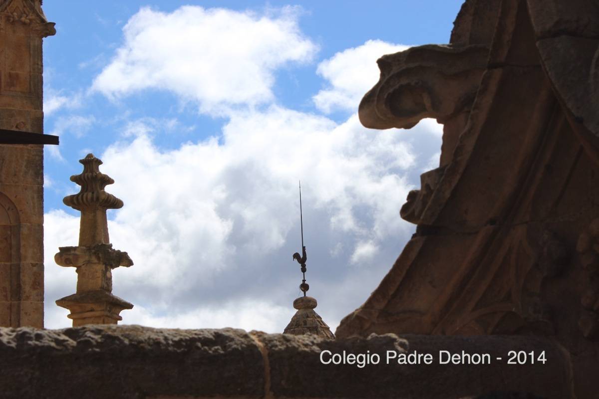 2014 03 22 SALAMANCA IERONIMUS CATEDRAL (122)